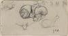 JEAN-FRANÇOIS MILLET (Gréville 1814-1875 Barbizon) Studies of Snails and a Head Study.